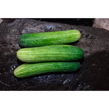 Cucumber  (26)-770463-64938.webp